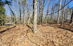 438 Hickory Hills, Stone Mountain, GA 30083