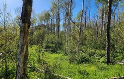 234 Tananger Lane, Craig, CO 81625