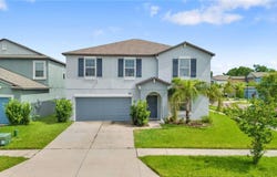 7420 PEARLY EVERLASTING Avenue, TAMPA, FL 33619