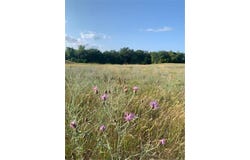 Xxx 218th Street N, Scandia, MN 55073