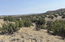 Lots 63&64 Abbe Springs Ranch, Magdalena, NM 87825