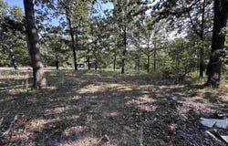 305,307 & 309 Ruby Ln, Horseshoe Bend, AR 72512