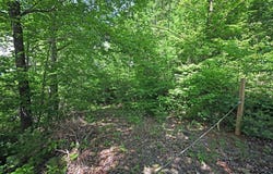 Lot 3 The Ridges, Hiawassee, GA 30546