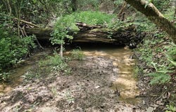 5.3 Acres Gravel Ln, Lexington, VA 24450