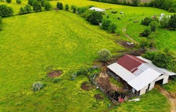 82.45 Echols Road, Elora, TN 37328