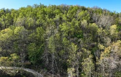 County road 123, Union Twp, OH 45619