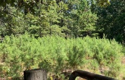 1 Off Bollinger County 908, Unincorporated, MO 63662