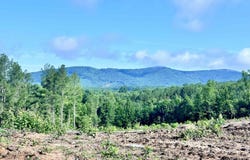 HUNTING LODGE RD, Schuyler, VA 22969