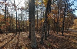 CRYSTAL VALLEY Drive, ROMNEY, WV 26757