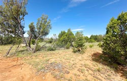 10 Acres On County Road B26D, NM 87569