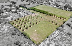 263 Krams Creek RD, Seguin, TX 78155