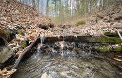 WP-001 0 West Creek Rd, Richford, NY 13835