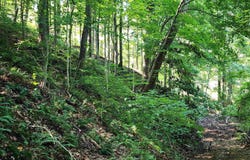 18 +/- Acres County Road 1250 West, Medora, IN 47260