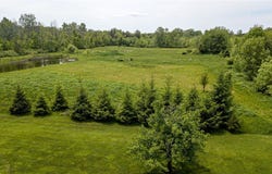 467 County Line Road, Webster, NY 14519
