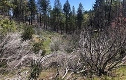 7097 High Valley, Lucerne, CA 95458