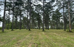 Hidden Pines Lane, Flora, MS 39071