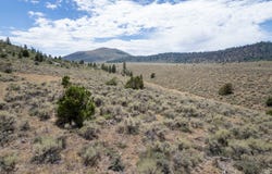 15589 E 18680 N GADSON DRAW, Vernal, UT 84078