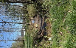 1381 St Rt 7, South Shore, KY 41175