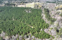 5 United Gas Rd 1, Rodessa, LA 71069