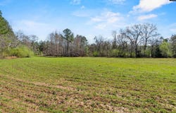 1608 Mike Stuck Road, Little Mountain, SC 29075