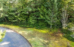 9999 Hunt Road, Port Angeles, WA 98362