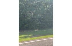 1020 fm 343, Nacogdoches, TX 75964