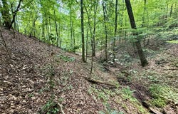 79 River Overlook Lane S, Ellijay, GA 30540