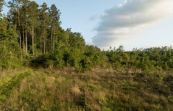 Dickerson Road, Dequincy, LA 70633
