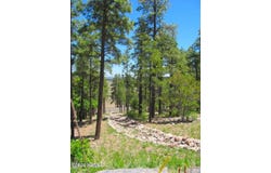 1039 Timbernook, Williams, AZ 86046