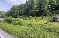 1668 Dry Branch Rd, Belle, WV 25061