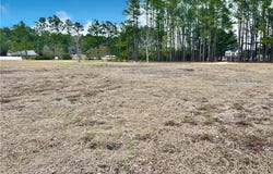 Southside Drive, Blackshear, GA 31516