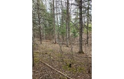 122 Thibodeau Road, Woodland, ME 04736