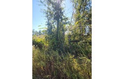 SE TBD HIGH FALLS ROAD, Lake City, FL 32025