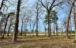 3.48 Roberts Lane, Diboll, TX 75941