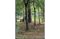 0 St Angelo Lane, Poplarville, MS 39470