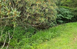 106 Hosta Ln, Meadows of Dan, VA 24120