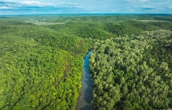 Tract 5 Treetop Lane, St Robert, MO 65584