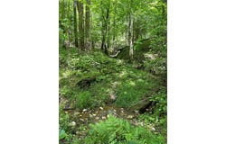 2226/2234 NC 268, Pilot Mountain, NC 27041