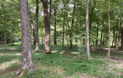 1647 Boone Hollow Road, Battletown, KY 40104
