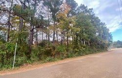 Llewellyn Ave, McComb, MS 39648
