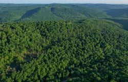 01 Chimney Field Rd, Winslow, AR 72959