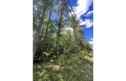 209AB E Brown's Point Road E, Bowdoinham, ME 04008