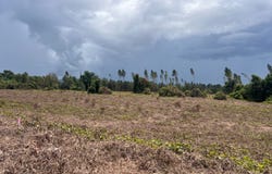 0 Sunflower Rd LOT 3, St Matthews, SC 29135