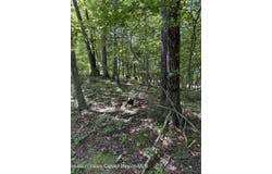 399 Floyd Ackert Road, New Paltz, NY 12561