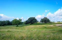 43 ACRES Fm 885, Runge, TX 78151