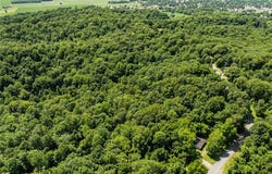 2329 County Highway 227, Chaffee, MO 63740