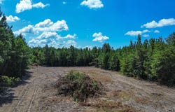 9617 AL Hwy 22, Orrville, AL 36767