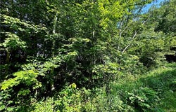 1 Acre 305th Avenue, Holcombe, WI 54745
