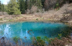 4224 GROUSE CREEK RD, LOON LAKE, WA 99148