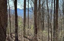 Lot 80 Asheland, Young Harris, GA 30582